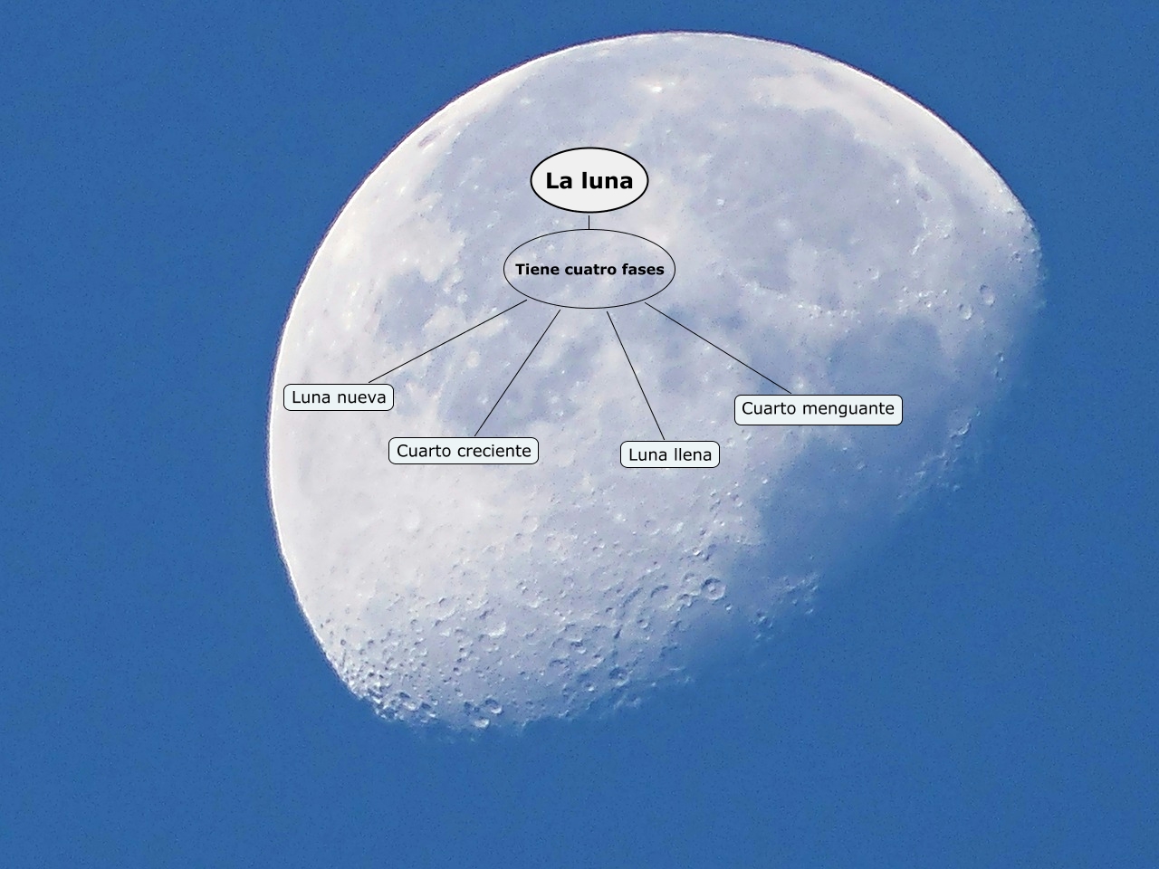 La luna
